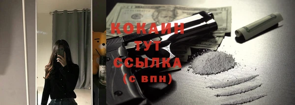 apvp Богданович