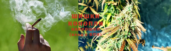 apvp Богданович