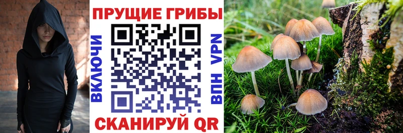 кракен рабочий сайт  Полтавская  Галлюциногенные грибы GOLDEN TEACHER  наркошоп 